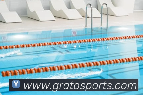 体育下注平台生态图